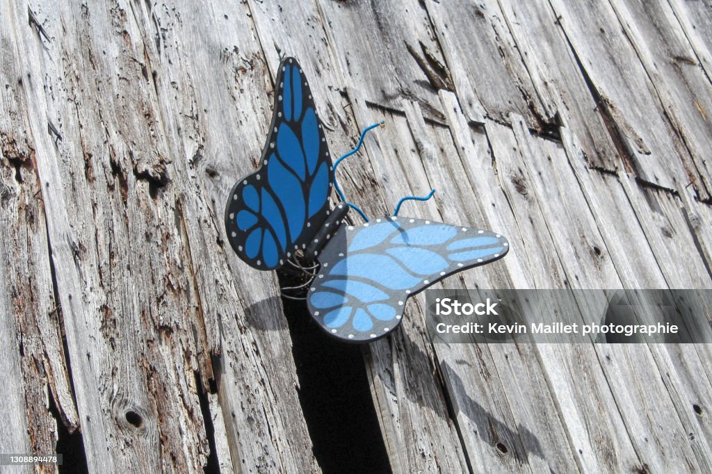 Butterfly decoration Butterfly decoration in Châtellerault (86) France Backgrounds Stock Photo