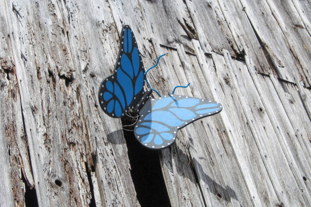 Butterfly decoration stock photo