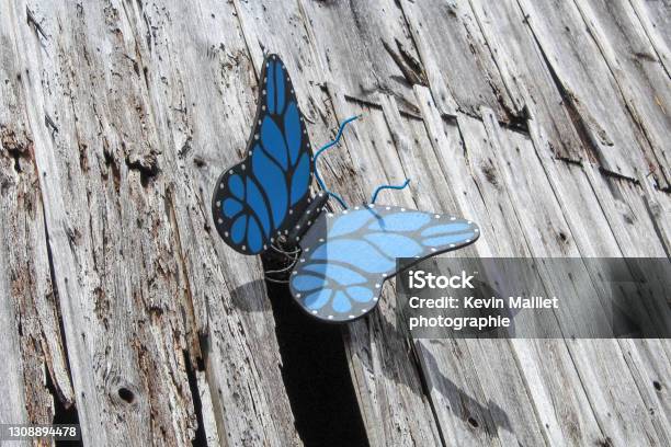 Butterfly Decoration Stock Photo - Download Image Now - Backgrounds, Beauty, Butterfly - Insect
