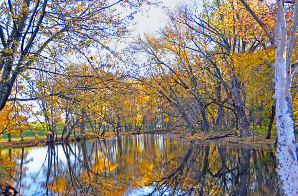 istock Beautiful fall colors reflected in a small creek-Howard County, Indiana 1308894503