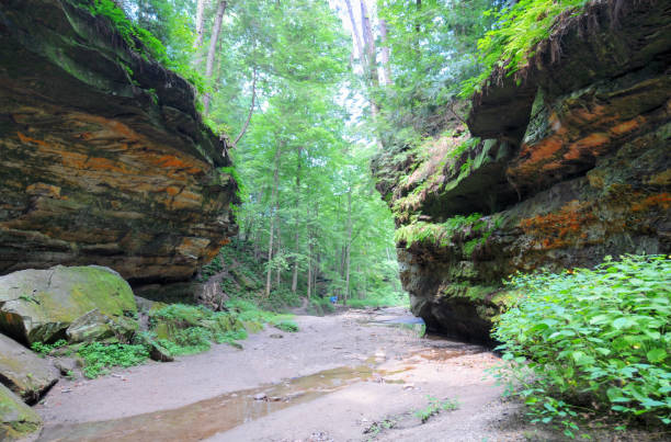 istock Limestone Canyon-Turkey Run, Indiana 1308894736