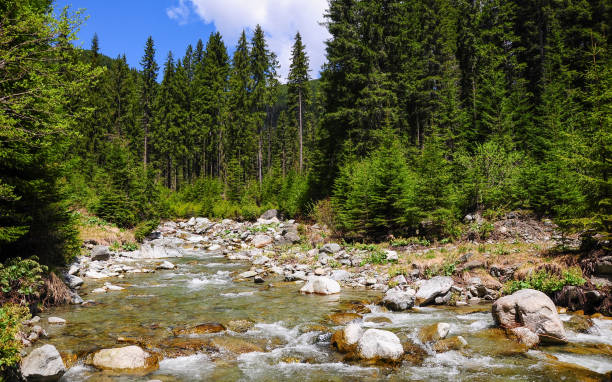 istock Latorita river flowing over a stony riverbed. 1308896288