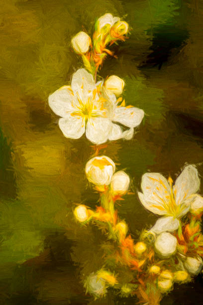 The blackthorn is one of the earliest flowering trees in the UK and its flowers begin to open in February. This macro image has a sharply focused flower against a blurred background. Post processed to give a painterly look for use as a background or greetings card.