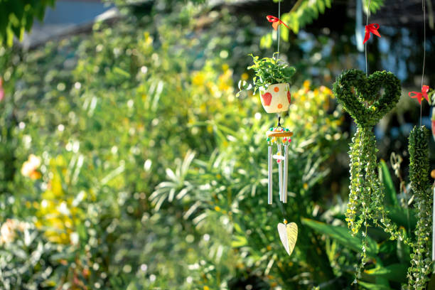 istock An ornamental tree named Dave It is believed to bring good luck when it comes to decorating your home. 1308901340