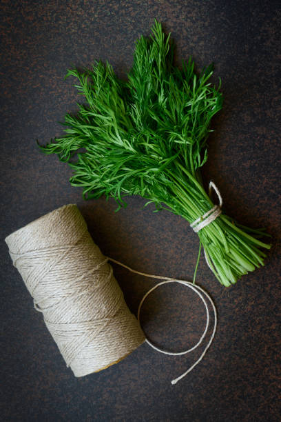istock Fresh dill close up on dark background, top view 1308901395
