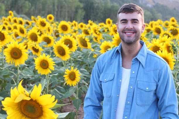 istock Farmer in stunning sunflowers field 1308907551