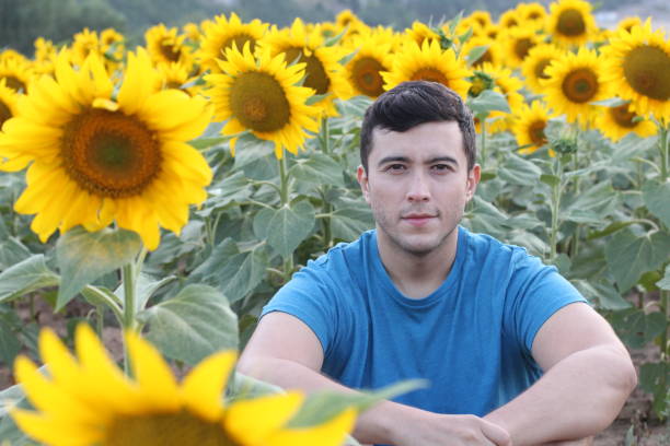 istock Farmer in stunning sunflowers field 1308907759