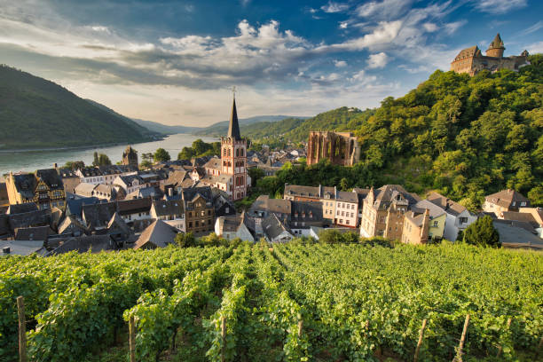 bacharach - europe germany castle nobody foto e immagini stock