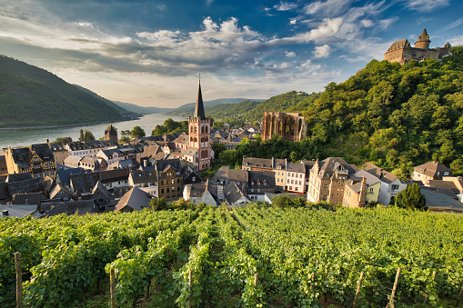 A view of Bacharach, Germany from the old town wall as the early sun is just lighting up the valley on a beautiful day.