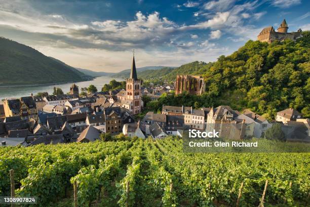 Bacharach Germany Stock Photo - Download Image Now - Germany, Rhine River, Vineyard