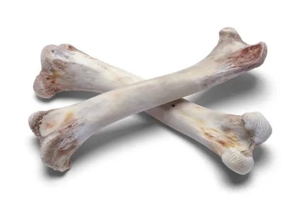 Photo of Cross Bones