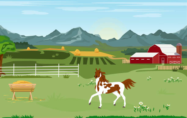 ilustraciones, imágenes clip art, dibujos animados e iconos de stock de ilustración vectorial. panorama paisajístico rural. un caballo se encuentra detrás de una valla de madera en un pasto con una granja, campos y montañas a lo lejos. - horse stall stable horse barn