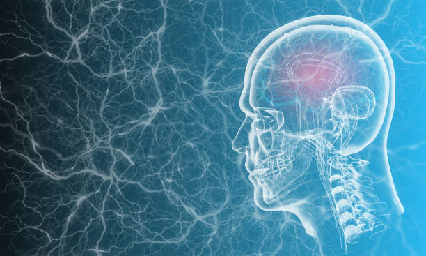 cérebro humano em fundo de tecnologia - brain human nervous system contemplation healthcare and medicine - fotografias e filmes do acervo