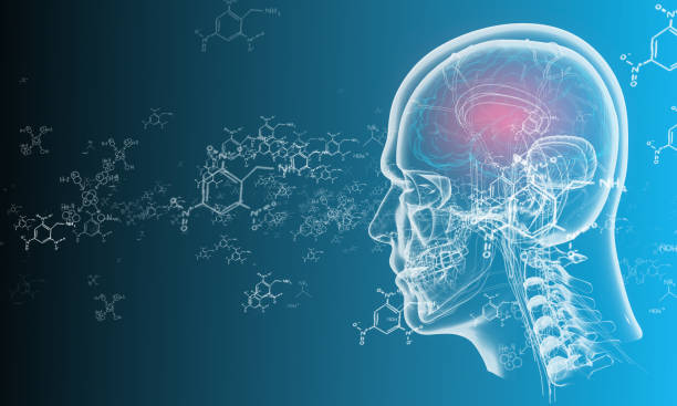 cervello umano sullo sfondo tecnologico - mri scan human nervous system brain medical scan foto e immagini stock