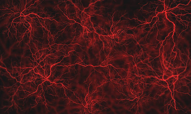 Abstract Blood Vessels Abstract Blood Vessels human vein stock pictures, royalty-free photos & images