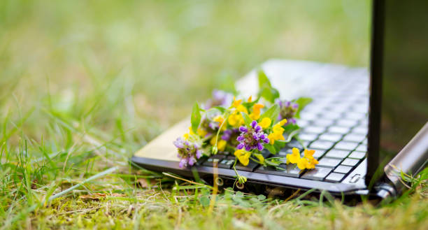 istock Laptop and flowers in the grass 1308920563
