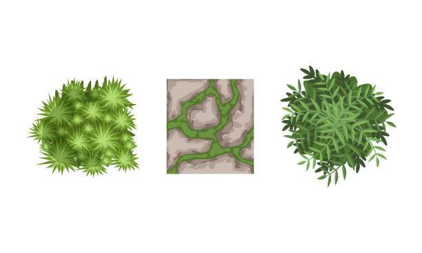 istock Bush Growth and Gravel Pathes as Landscape Elements Vector Set 1308922450