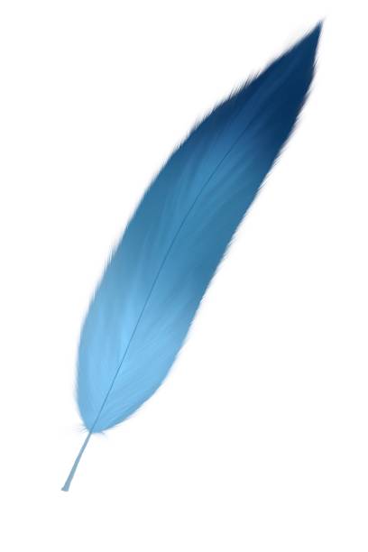 istock Hand drawn feather illustration. fluffy feathers. for invitation wedding card. Rustic feathers Bright colors. 1308922472