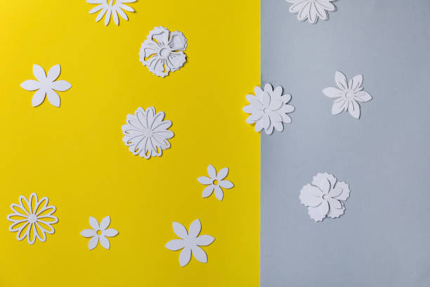 istock Creative layout with white paper flowers over gray 1308924597