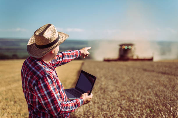 istock Farmer controlled harvest in his field 1308926483