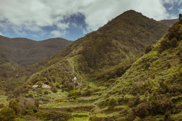 istock Anaga Rural Park, Tenerife, Canary Islands 1308926657