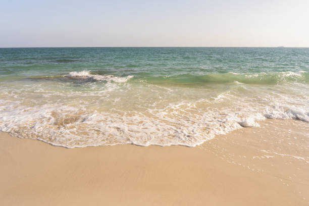istock Beach and waves tropical sea with blue sky on sunny day background. copy space 1308927195