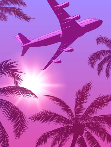 istock Passenger Airplane Over Palm Trees and Sun in the Sky 1308927644