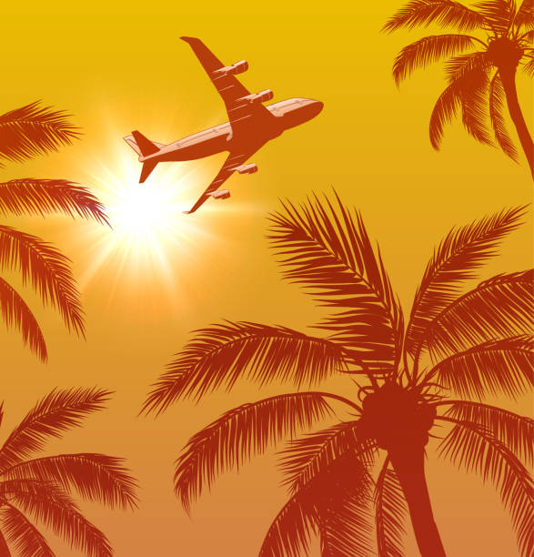 istock Passenger Airplane Over Palm Trees and Sun in the Sky 1308927653