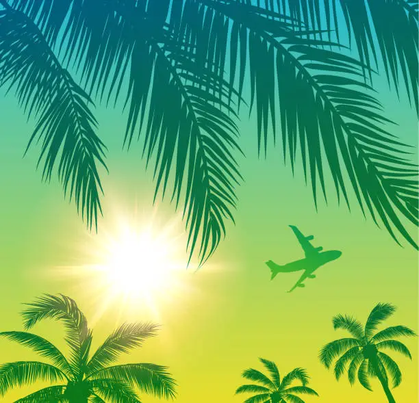 Vector illustration of Passenger Airplane Over Palm Trees and Sun in the Sky