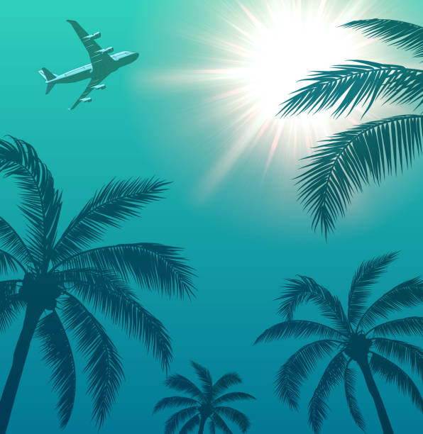 Passenger Airplane Over Palm Trees and Sun in the Sky Passenger Airplane Over Palm Trees and Sun in the Sky. Vector illustration. airport backgrounds stock illustrations