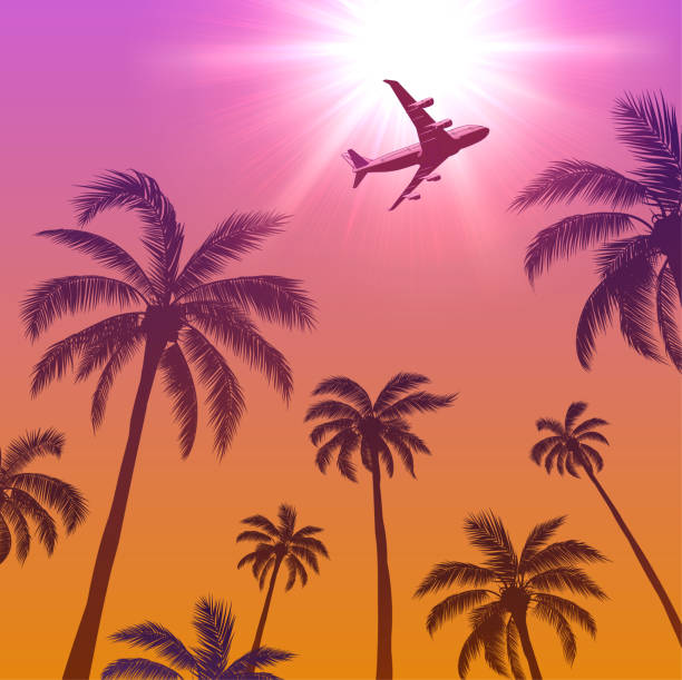 istock Passenger Airplane Over Palm Trees and Sun in the Sky 1308928699