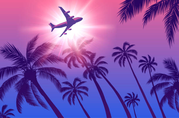 istock Passenger Airplane Over Palm Trees and Sun in the Sky 1308929107