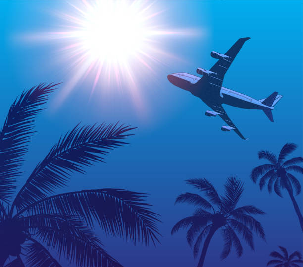 istock Passenger Airplane Over Palm Trees and Sun in the Sky 1308929216