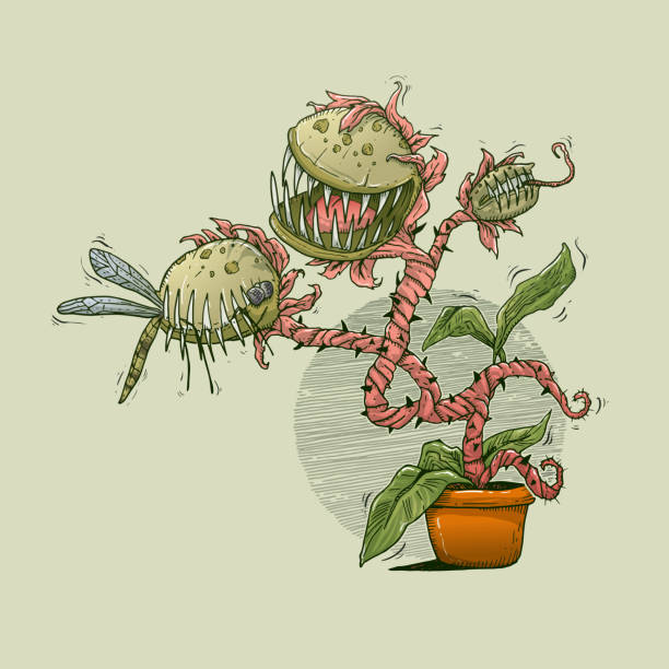 Carnivorous plant eating mosquito Vector illustration of Carnivorous plant eating mosquito in green background carnivorous stock illustrations