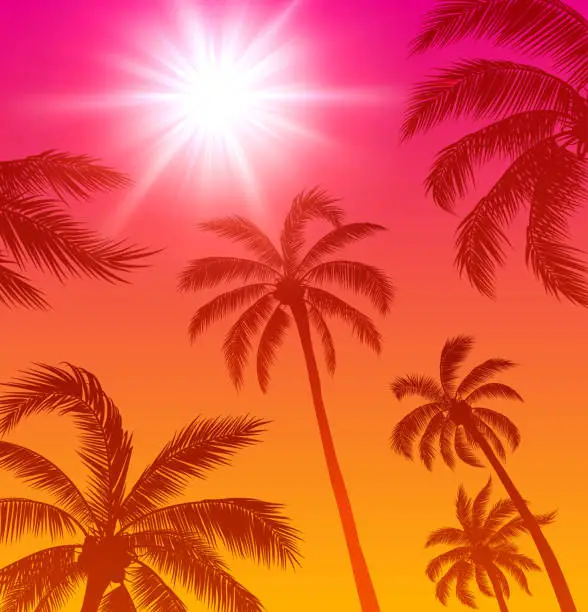 Vector illustration of Palm Trees and Sun