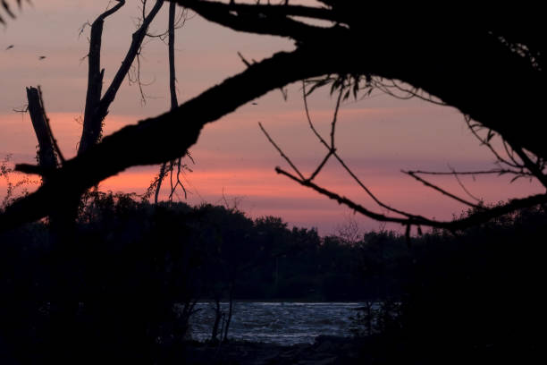 istock View From the Woods of a Brilliant Sky 1308931421