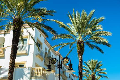 Scenic fifth avenue cityscape in the popular downtown district in Naples, Florida.