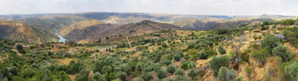 Photo of La Faya viewpoint in Douro International Nature Park, Spain