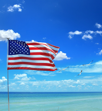 Closeup waving American flag at flagpole at beach over sunny blue sky with group of flying seagulls