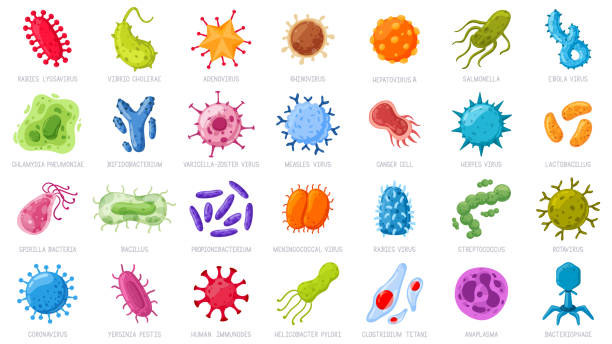 illustrazioni stock, clip art, cartoni animati e icone di tendenza di virus e microbi dei cartoni animati. malattia che causa germi, coronavirus e rotavirus. set di icone di illustrazione vettoriale di microrganismi di infezione batterica - ebola