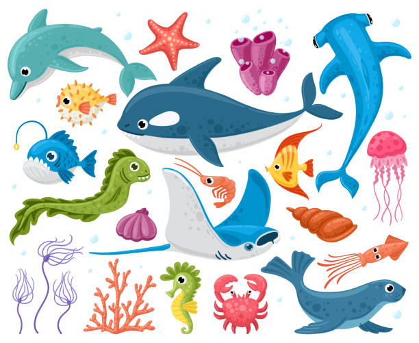 Cartoon Sea Creatures Stock Photos, Pictures & Royalty-Free Images - iStock