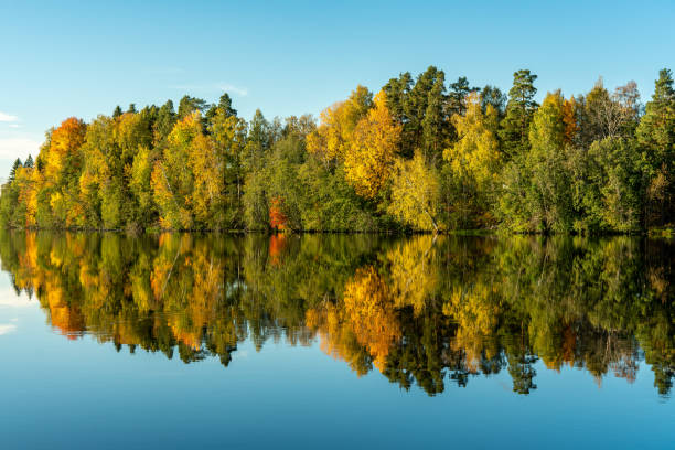 The Dal river in Sweden, in autumn colors. Vibrant colorful trees along the riverbank and the blue sky, reflecting in the calm and shiny water