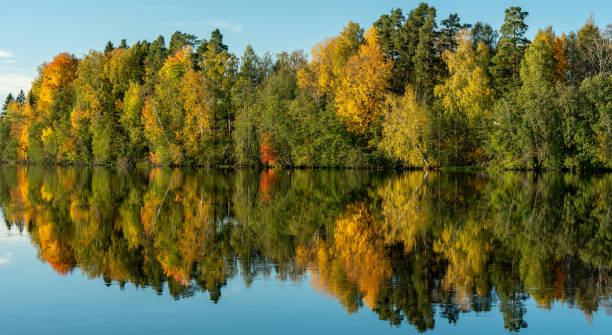 istock Panorama view of autumn colored trees along a river 1308945943