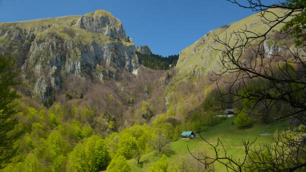 istock Spring in Buila Massif. Carpathia, Romania 1308948220