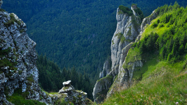 istock Eroded cliffs near Ceahlau Mountain peak. 1308948250