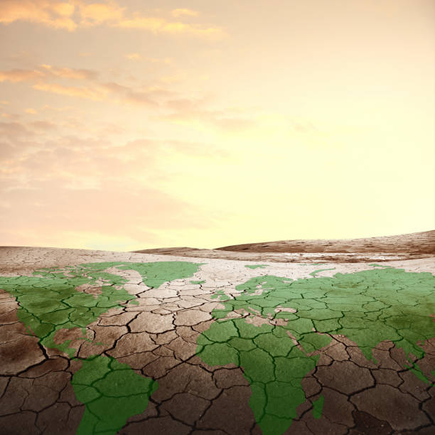 Green plants grow on the cracked land