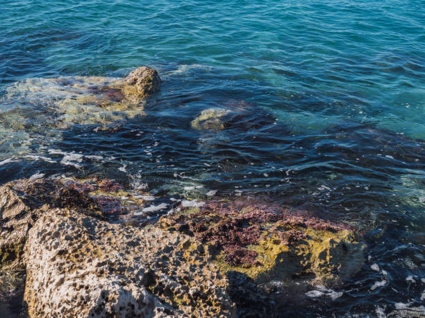 istock Turquoise sea with rocks in Marbella 1308951918