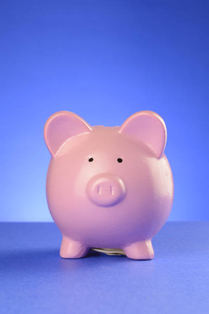 istock Piggy Bank Account 1308953156