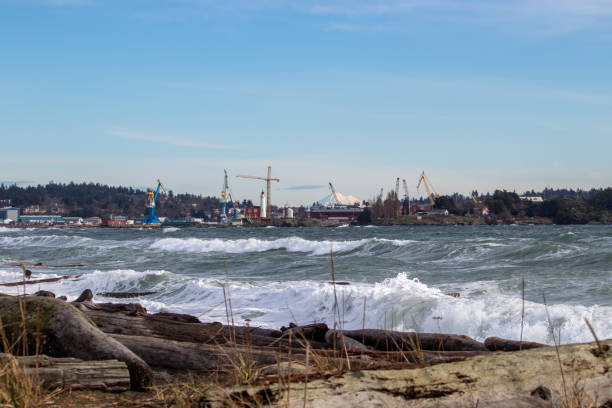 view of cranes and a lighthouse from Coburg Peninsula near Victoria, British Columbia, Canada Big waves and driftwood on the beach on the Salish Sea at Coburg Peninsula near Victoria, British Columbia colwood photos stock pictures, royalty-free photos & images