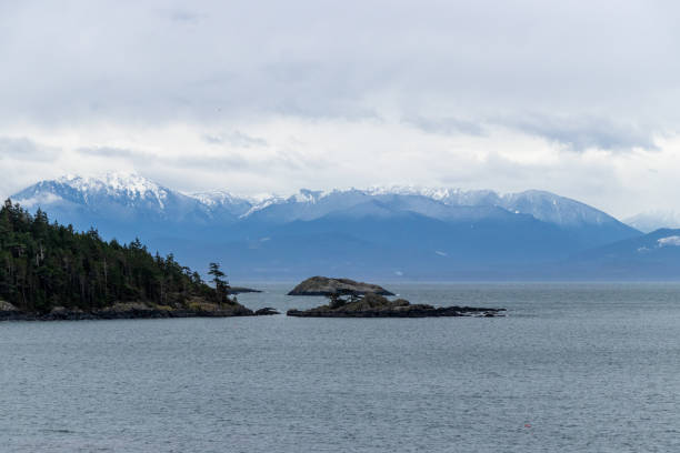 istock Mountain and ocean landscape 1308953404